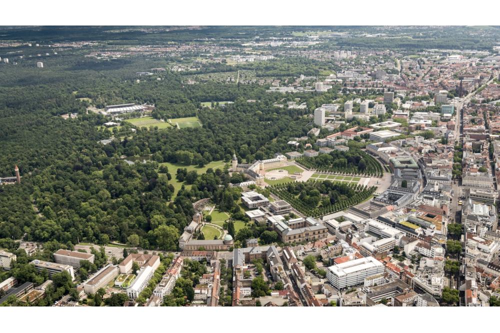 Multitalent Stadtbaum: Gesunde B&auml;ume f&uuml;r mehr Lebensqualit&auml;t